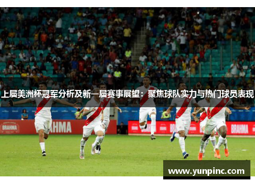 上届美洲杯冠军分析及新一届赛事展望：聚焦球队实力与热门球员表现