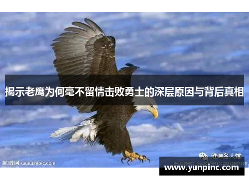揭示老鹰为何毫不留情击败勇士的深层原因与背后真相