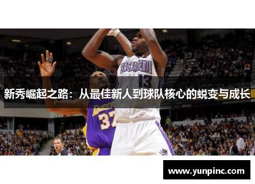 新秀崛起之路：从最佳新人到球队核心的蜕变与成长