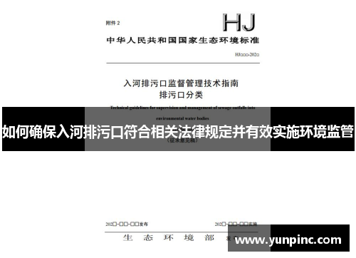 如何确保入河排污口符合相关法律规定并有效实施环境监管